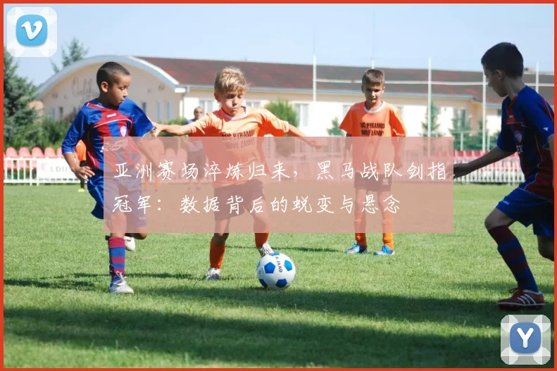 亚洲赛场淬炼归来，黑马战队剑指冠军：数据背后的蜕变与悬念 - Kaiyun推荐